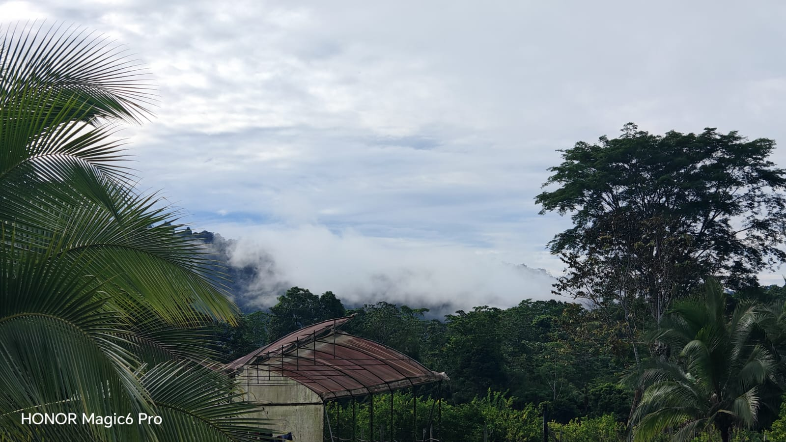 Neblina baja sobre la cordillera al amanecer